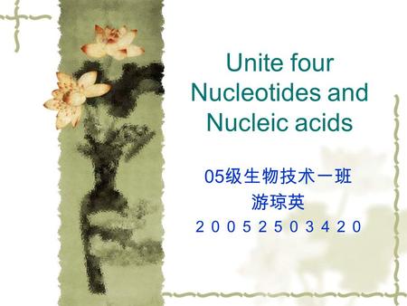 Unite four Nucleotides and Nucleic acids 05 级生物技术一班 游琼英 ２００５２５０３４２０.