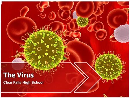 Viruses Virus- an infectious agent made up of a core of nucleic acid and a protein coat.