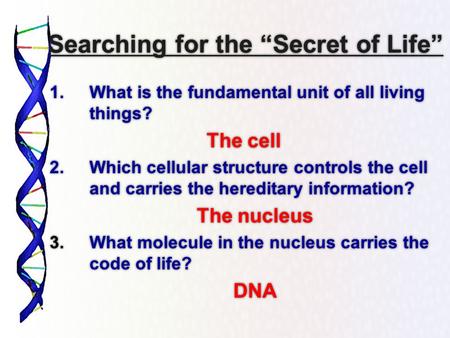 Searching for the “Secret of Life” 1.What is the fundamental unit of all living things? The cell 2.Which cellular structure controls the cell and carries.