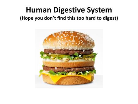 Human Digestive System (Hope you don’t find this too hard to digest)