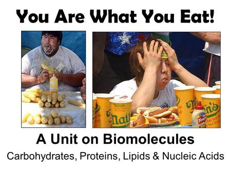 A Unit on Biomolecules Carbohydrates, Proteins, Lipids & Nucleic Acids