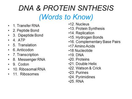 DNA & PROTEIN SNTHESIS (Words to Know)