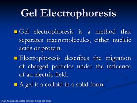 Gel Electrophoresis Gel electrophoresis is a method that separates macromolecules, either nucleic acids or protein. Electrophoresis describes the migration.