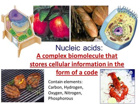2006-2007 Nucleic acids: A complex biomolecule that stores cellular information in the form of a code Contain elements: Carbon, Hydrogen, Oxygen, Nitrogen,