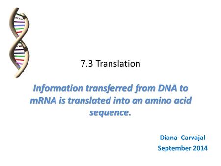 Information transferred from DNA to mRNA is translated into an amino acid sequence. 7.3 Translation Information transferred from DNA to mRNA is translated.