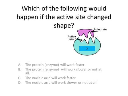 A.The protein (enzyme) will work faster B.The protein (enzyme) will work slower or not at all. C.The nucleic acid will work faster D.The nucleic acid will.