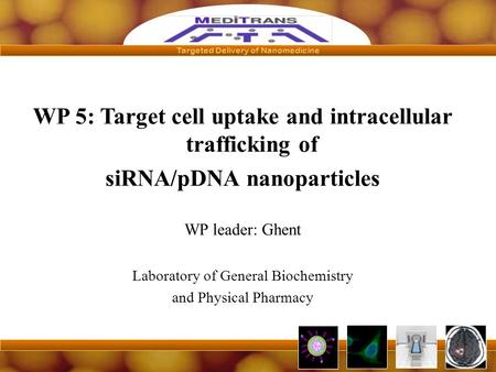 Targeted Delivery of Nanomedicine WP 5: Target cell uptake and intracellular trafficking of siRNA/pDNA nanoparticles WP leader: Ghent Laboratory of General.
