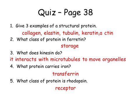 Quiz – Page 38 1. Give 3 examples of a structural protein. 2. What class of protein in ferretin? 3. What does kinesin do? 4. What protein carries iron?