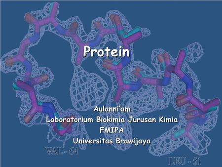 Aulani  Biokimia Presentation 11 Introduction: Protein Aulanni’am Laboratorium Biokimia Jurusan Kimia FMIPA Universitas Brawijaya.