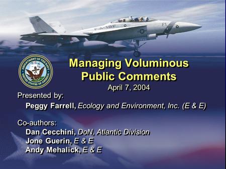 Managing Voluminous Public Comments April 7, 2004 Presented by: Peggy Farrell, Ecology and Environment, Inc. (E & E) Co-authors: Dan Cecchini, DoN, Atlantic.