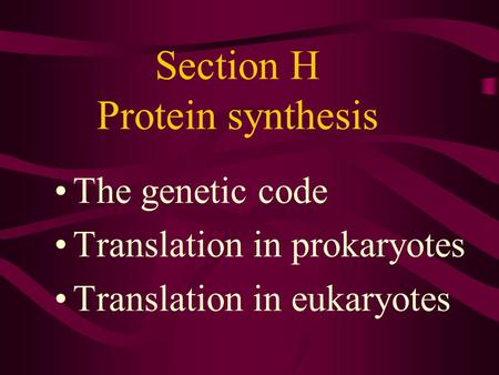 Section H Protein synthesis The genetic code Translation in prokaryotes Translation in eukaryotes.