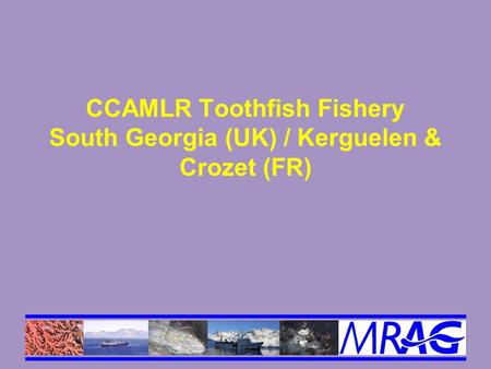 CCAMLR Toothfish Fishery South Georgia (UK) / Kerguelen & Crozet (FR)
