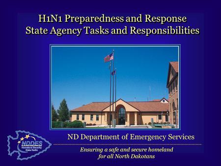 H1N1 Preparedness and Response State Agency Tasks and Responsibilities H1N1 Preparedness and Response State Agency Tasks and Responsibilities Ensuring.