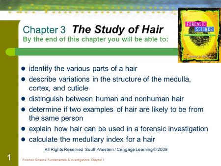 Forensic Science: Fundamentals & Investigations, Chapter 3 1 Chapter 3 The Study of Hair By the end of this chapter you will be able to: identify the various.