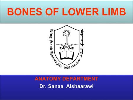 BONES OF LOWER LIMB ANATOMY DEPARTMENT Dr. Sanaa Alshaarawi ANATOMY DEPARTMENT Dr. Sanaa Alshaarawi.