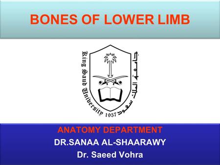 BONES OF LOWER LIMB ANATOMY DEPARTMENT DR.SANAA AL-SHAARAWY Dr. Saeed Vohra ANATOMY DEPARTMENT DR.SANAA AL-SHAARAWY Dr. Saeed Vohra.
