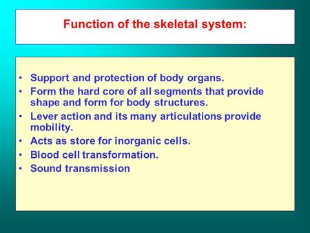 Function of the skeletal system: