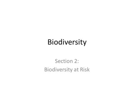 Section 2: Biodiversity at Risk