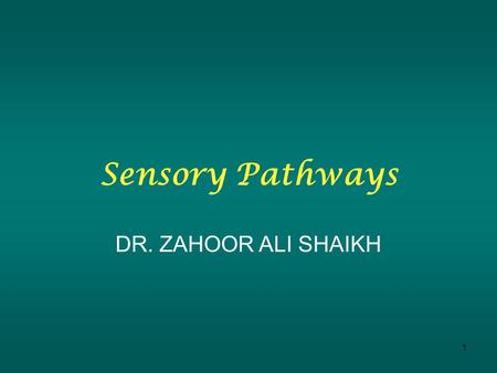 1 Sensory Pathways DR. ZAHOOR ALI SHAIKH. Before we talk about sensory pathways we will trace the course of sensory impulse from receptors to the spinal.