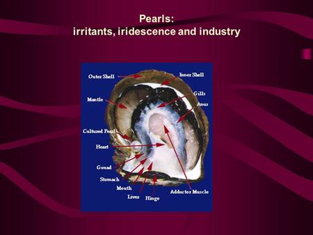 irritants, iridescence and industry