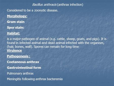 Bacillus anthracis (anthrax infection) Considered to be a zoonotic disease. Morphology: Gram stain Spor stain: Habitat: :is a major pathogen of animal.