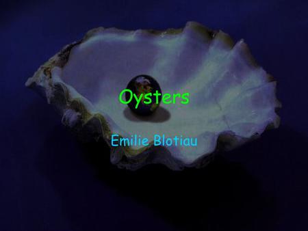 Oysters Emilie Blotiau. Scientific Name Oysters scientific name is Crassostrea madrasensis.