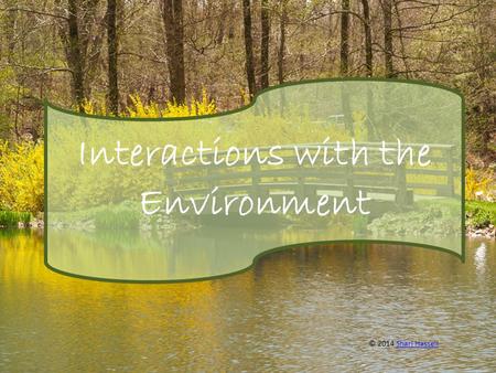 Interactions with the Environment © 2014 Shari HassellShari Hassell.