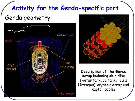 Activity for the Gerda-specific part Description of the Gerda setup including shielding (water tank, Cu tank, liquid Nitrogen), crystals array and kapton.