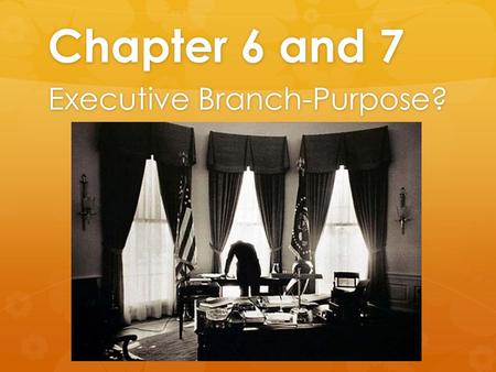 Executive Branch-Purpose?