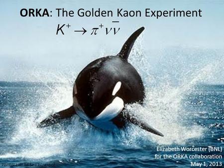 ORKA: The Golden Kaon Experiment Elizabeth Worcester (BNL) for the ORKA collaboration May 1, 2013 Photo: Life of Sea blogspot.