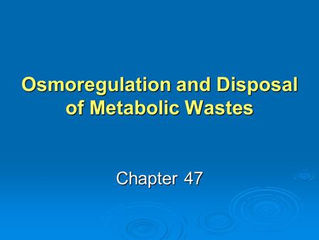 Osmoregulation and Disposal of Metabolic Wastes Chapter 47.