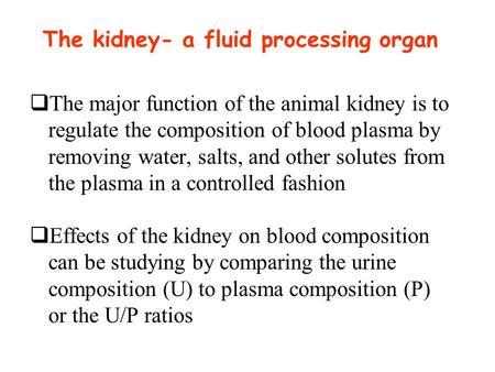 The major function of the animal kidney is to regulate the composition of blood plasma by removing water, salts, and other solutes from the plasma in.