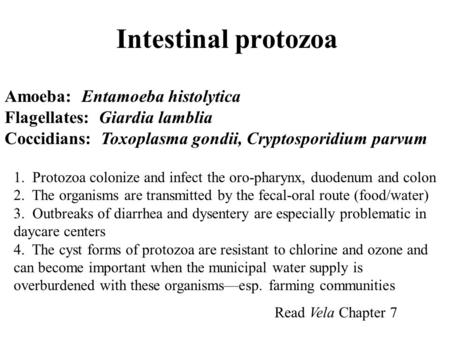 Intestinal protozoa Amoeba: Entamoeba histolytica