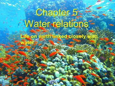 Chapter 5 Water relations