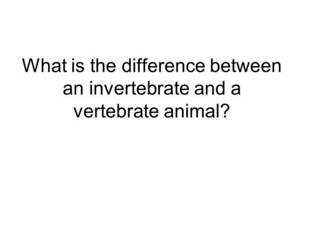 Invertebrates do not have a backbone