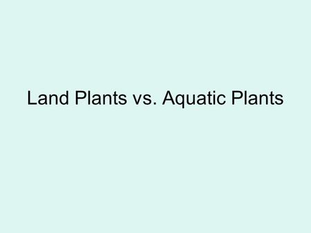 Land Plants vs. Aquatic Plants. Land Plants Vascular –They have “veins” that transport nutrients between leaves, roots, stems –The veins are actually.