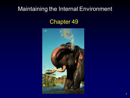 1 Maintaining the Internal Environment Chapter 49.