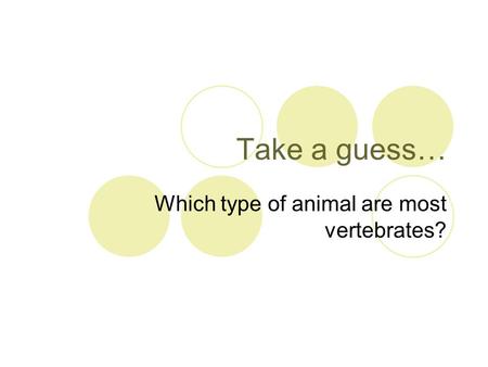 Take a guess… Which type of animal are most vertebrates?