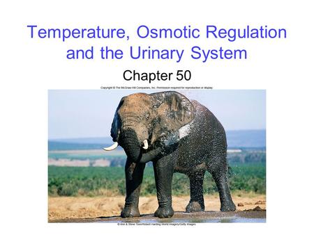 Temperature, Osmotic Regulation and the Urinary System