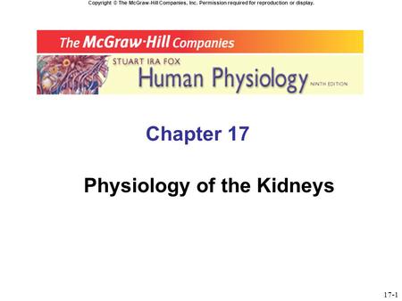 Physiology of the Kidneys