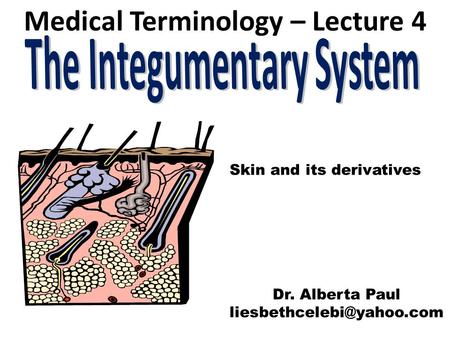 Medical Terminology – Lecture 4 The Integumentary System