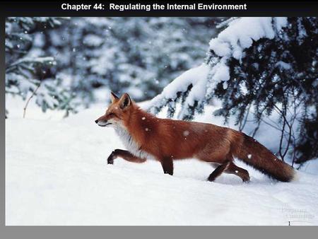 Chapter 44: Regulating the Internal Environment 1.