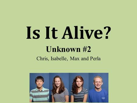 Is It Alive? Unknown #2 Chris, Isabelle, Max and Perla.