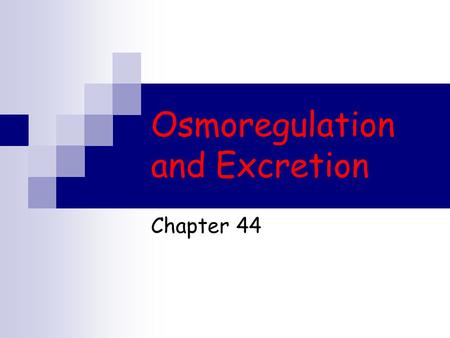 Osmoregulation and Excretion Chapter 44. Osmoregulation A balancing act The physiological systems of animals  Operate in a fluid environment The relative.