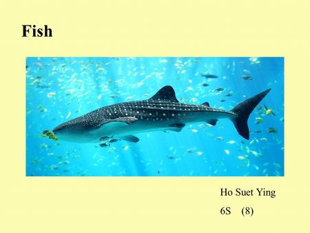 Fish Ho Suet Ying 6S (8).