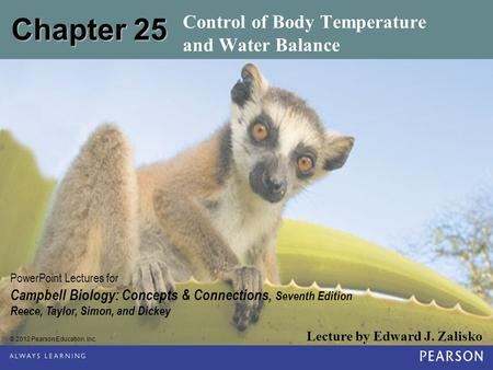 Control of Body Temperature and Water Balance