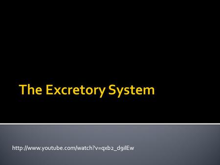 The Excretory System http://www.youtube.com/watch?v=qxb2_d9ilEw.
