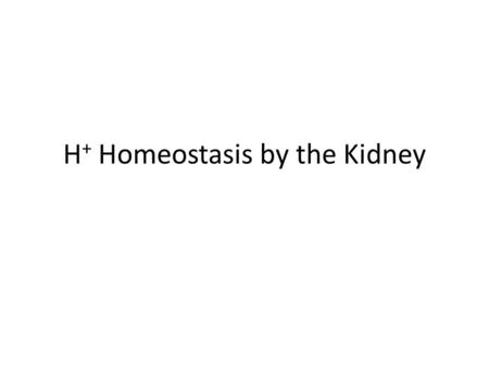 H + Homeostasis by the Kidney. H + Homeostasis Goal:  To maintain a plasma (ECF) pH of approximately 7.4 (equivalent to [H + ] = 40 nmol/L Action needed: