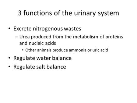 3 functions of the urinary system Excrete nitrogenous wastes – Urea produced from the metabolism of proteins and nucleic acids Other animals produce ammonia.