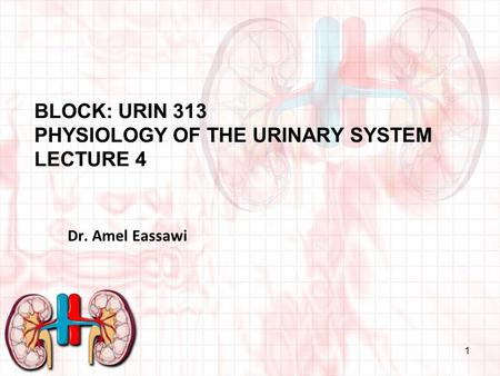 Block: URIN 313 Physiology of THE URINARY SYSTEM Lecture 4